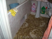 Продам 1но комн. квартиру на Словянке - <ro>Изображение</ro><ru>Изображение</ru> #7, <ru>Объявление</ru> #965372