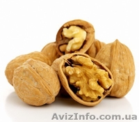 cаженцы грецкого ореха - <ro>Изображение</ro><ru>Изображение</ru> #3, <ru>Объявление</ru> #953422