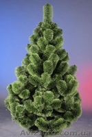 Искусственные елки и сосны. Новогодние украшения и игрушки - <ro>Изображение</ro><ru>Изображение</ru> #8, <ru>Объявление</ru> #997461