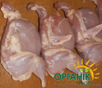 Столовые перепелиные яйца без тары  - <ro>Изображение</ro><ru>Изображение</ru> #4, <ru>Объявление</ru> #1037586