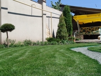 Рулонные газоны – с июля 2014 г. и в Вашей области! - <ro>Изображение</ro><ru>Изображение</ru> #1, <ru>Объявление</ru> #1113997