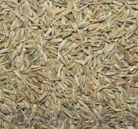 Продам семена Ежа сборная (Грястница) - <ro>Изображение</ro><ru>Изображение</ru> #1, <ru>Объявление</ru> #1154591