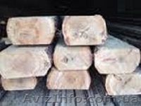 Закупаем дорого автомобильными нормами - плаху (двухкантный брус) и кругляк тонк - <ro>Изображение</ro><ru>Изображение</ru> #1, <ru>Объявление</ru> #1231724