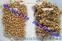 Аэродинамический зерноочиститель ИCM - <ro>Изображение</ro><ru>Изображение</ru> #1, <ru>Объявление</ru> #1230934