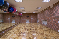 Сдам в аренду  спортзал для тренировок по различным видам спорта - <ro>Изображение</ro><ru>Изображение</ru> #2, <ru>Объявление</ru> #1272812