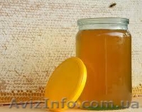 Продаю смачний мед, викачаний 05 липня 2015 р.  - <ro>Изображение</ro><ru>Изображение</ru> #2, <ru>Объявление</ru> #1285764