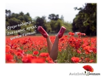 Фармаси подарки и скидки   - <ro>Изображение</ro><ru>Изображение</ru> #2, <ru>Объявление</ru> #1285826