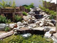 Геотекстиль для защиты от камыша - <ro>Изображение</ro><ru>Изображение</ru> #2, <ru>Объявление</ru> #1362067