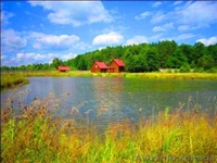 9 причин купити маєток - <ro>Изображение</ro><ru>Изображение</ru> #3, <ru>Объявление</ru> #1374014