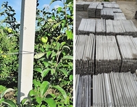 Виноградные столбики железобетонные 2,20 б/у "отборные" - <ro>Изображение</ro><ru>Изображение</ru> #1, <ru>Объявление</ru> #1471122