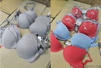 Продам бюстгальтеры Philippe Matignon, Sisi (Италия) оптом - <ro>Изображение</ro><ru>Изображение</ru> #4, <ru>Объявление</ru> #1539480