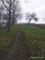 Продается участок 30 соток в с. Щитки, Винницкая область - <ro>Изображение</ro><ru>Изображение</ru> #4, <ru>Объявление</ru> #1654954