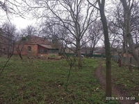 Продается участок 30 соток в с. Щитки, Винницкая область - <ro>Изображение</ro><ru>Изображение</ru> #6, <ru>Объявление</ru> #1654954