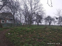 Продается участок 30 соток в с. Щитки, Винницкая область - <ro>Изображение</ro><ru>Изображение</ru> #8, <ru>Объявление</ru> #1654954