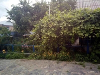 Дом, хоз.постройки, сад (домовладение) в с.Мизяковские Хутора - <ro>Изображение</ro><ru>Изображение</ru> #5, <ru>Объявление</ru> #1707662