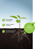 Агрисолика - кремниевое удобрение для сада и огорода в гранулах - <ro>Изображение</ro><ru>Изображение</ru> #3, <ru>Объявление</ru> #1723624