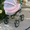 Детская коляска+ люлька ADAMEX CLASSIC - <ro>Изображение</ro><ru>Изображение</ru> #2, <ru>Объявление</ru> #14252