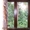Дерев’янні вікна в Вінниці Хмельницькому #143638