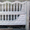 Забор бетонный, декоративный. Еврозабор. - <ro>Изображение</ro><ru>Изображение</ru> #1, <ru>Объявление</ru> #387782
