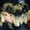 Продам замечательных щенков пекинеса - <ro>Изображение</ro><ru>Изображение</ru> #2, <ru>Объявление</ru> #590286