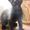 Котята cрочно в хорошие руки - <ro>Изображение</ro><ru>Изображение</ru> #4, <ru>Объявление</ru> #620390