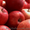 Яблука власного виробництва - <ro>Изображение</ro><ru>Изображение</ru> #4, <ru>Объявление</ru> #778665