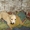 Винницкий приют для бездомных собак - <ro>Изображение</ro><ru>Изображение</ru> #8, <ru>Объявление</ru> #783998