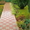 Плитка тротуарная вибролитая Винница - <ro>Изображение</ro><ru>Изображение</ru> #2, <ru>Объявление</ru> #888207