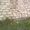земельна дділянка 10 соток з недобудованим будинком - <ro>Изображение</ro><ru>Изображение</ru> #6, <ru>Объявление</ru> #929900