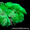 Светящаяся краска Acmelight Flower для цветочного бизнеса  - <ro>Изображение</ro><ru>Изображение</ru> #5, <ru>Объявление</ru> #1000257