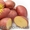 Картофель семенной Ривьера, Тирас и другие со склада в Виннице  - <ro>Изображение</ro><ru>Изображение</ru> #2, <ru>Объявление</ru> #1302490
