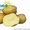 Картофель семенной Ривьера, Тирас и другие со склада в Виннице  - <ro>Изображение</ro><ru>Изображение</ru> #10, <ru>Объявление</ru> #1302490