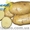 Картофель семенной Ривьера, Тирас и другие со склада в Виннице  - <ro>Изображение</ro><ru>Изображение</ru> #7, <ru>Объявление</ru> #1302490