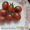 Продам семена томатов. - <ro>Изображение</ro><ru>Изображение</ru> #6, <ru>Объявление</ru> #1316838