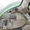 Трактор колісний John Deere 8310R - <ro>Изображение</ro><ru>Изображение</ru> #6, <ru>Объявление</ru> #1410099