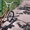 BMX Велосипед  original - <ro>Изображение</ro><ru>Изображение</ru> #3, <ru>Объявление</ru> #1443046