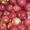 Продам яблоки разных сортов - <ro>Изображение</ro><ru>Изображение</ru> #1, <ru>Объявление</ru> #1137116