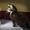 Мейн-кун, чистокровные котята, тигровые - <ro>Изображение</ro><ru>Изображение</ru> #2, <ru>Объявление</ru> #1608415