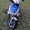 Продам скутер Viper Grace 150 кубов Зарегистрирован. - <ro>Изображение</ro><ru>Изображение</ru> #4, <ru>Объявление</ru> #1676120