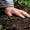 Агрисолика - кремниевое удобрение для сада и огорода в гранулах #1723624
