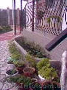 Крым!!! Недорогой отдых!