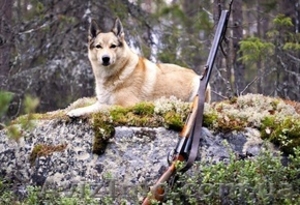 Патронташ странствий - охота профессионалов 