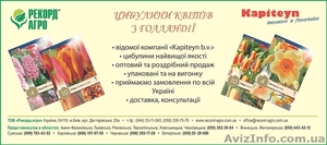 Продам семена овощных Семко - Юниор огурцы, томаты, капуста и. т.д. - <ro>Изображение</ro><ru>Изображение</ru> #9, <ru>Объявление</ru> #810207