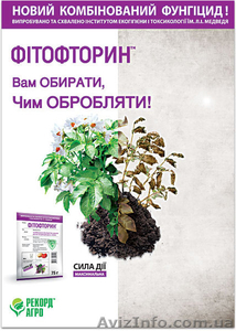 Продам семена овощных Семко - Юниор огурцы, томаты, капуста и. т.д. - <ro>Изображение</ro><ru>Изображение</ru> #4, <ru>Объявление</ru> #810207
