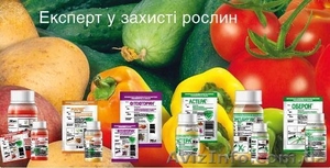 Продам семена овощных Семко - Юниор огурцы, томаты, капуста и. т.д. - <ro>Изображение</ro><ru>Изображение</ru> #5, <ru>Объявление</ru> #810207