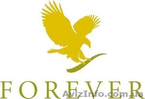 Бизнес с компанией Forever Living Products - <ro>Изображение</ro><ru>Изображение</ru> #1, <ru>Объявление</ru> #901029