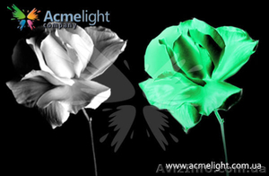 Светящаяся краска Acmelight Flower для цветочного бизнеса  - <ro>Изображение</ro><ru>Изображение</ru> #3, <ru>Объявление</ru> #1000257