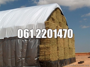 Тенты Agro cover