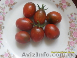 Продам семена томатов. - <ro>Изображение</ro><ru>Изображение</ru> #6, <ru>Объявление</ru> #1316838