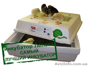Инкубаторы Лелека | Инкубаторы для яиц - <ro>Изображение</ro><ru>Изображение</ru> #1, <ru>Объявление</ru> #1477376